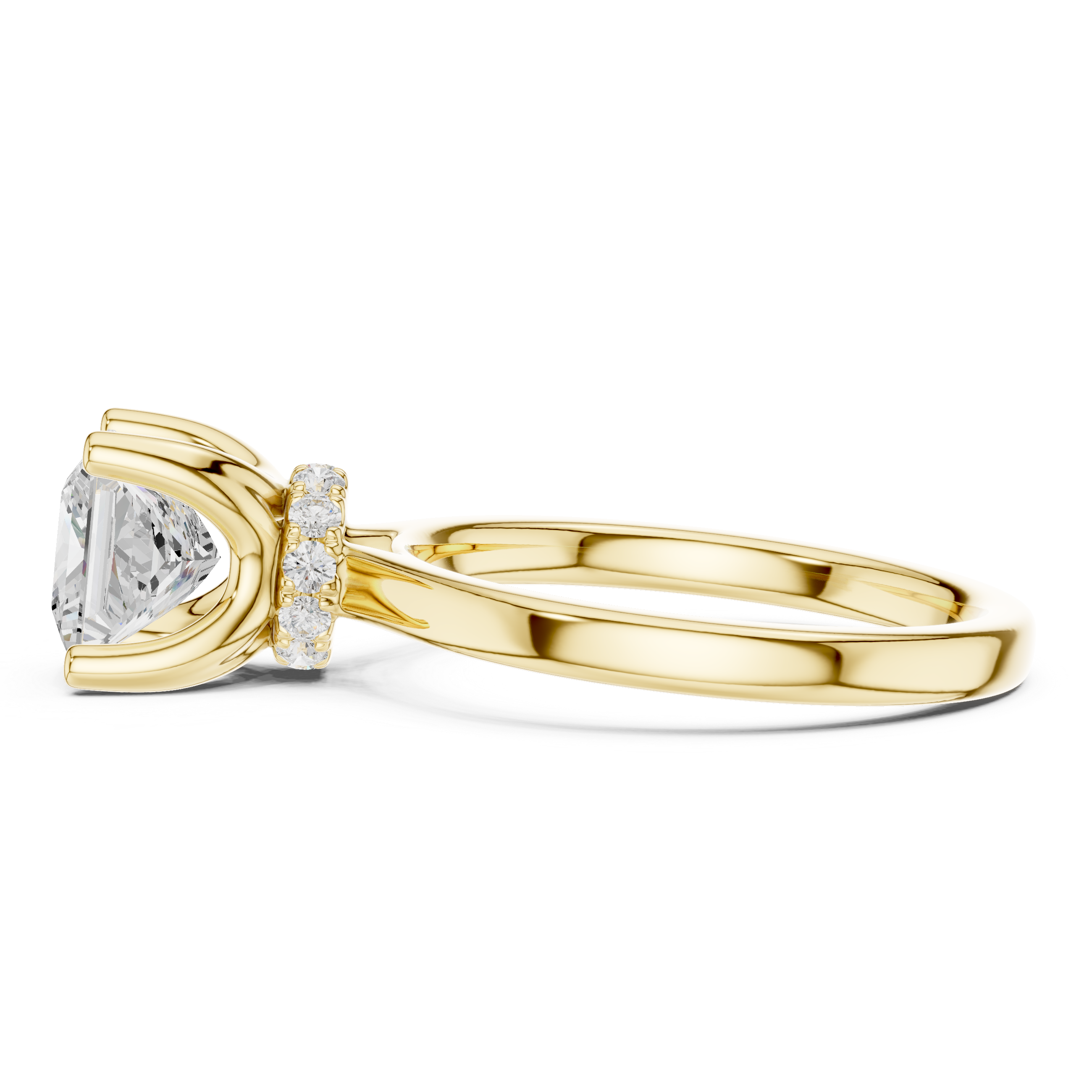 Princess Cut Solitaire Engagement Ring with Hidden Halo and Cathedral Shank